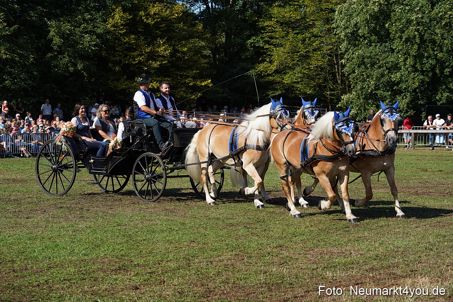 Pferde und Fohlenschau 2022 0108 